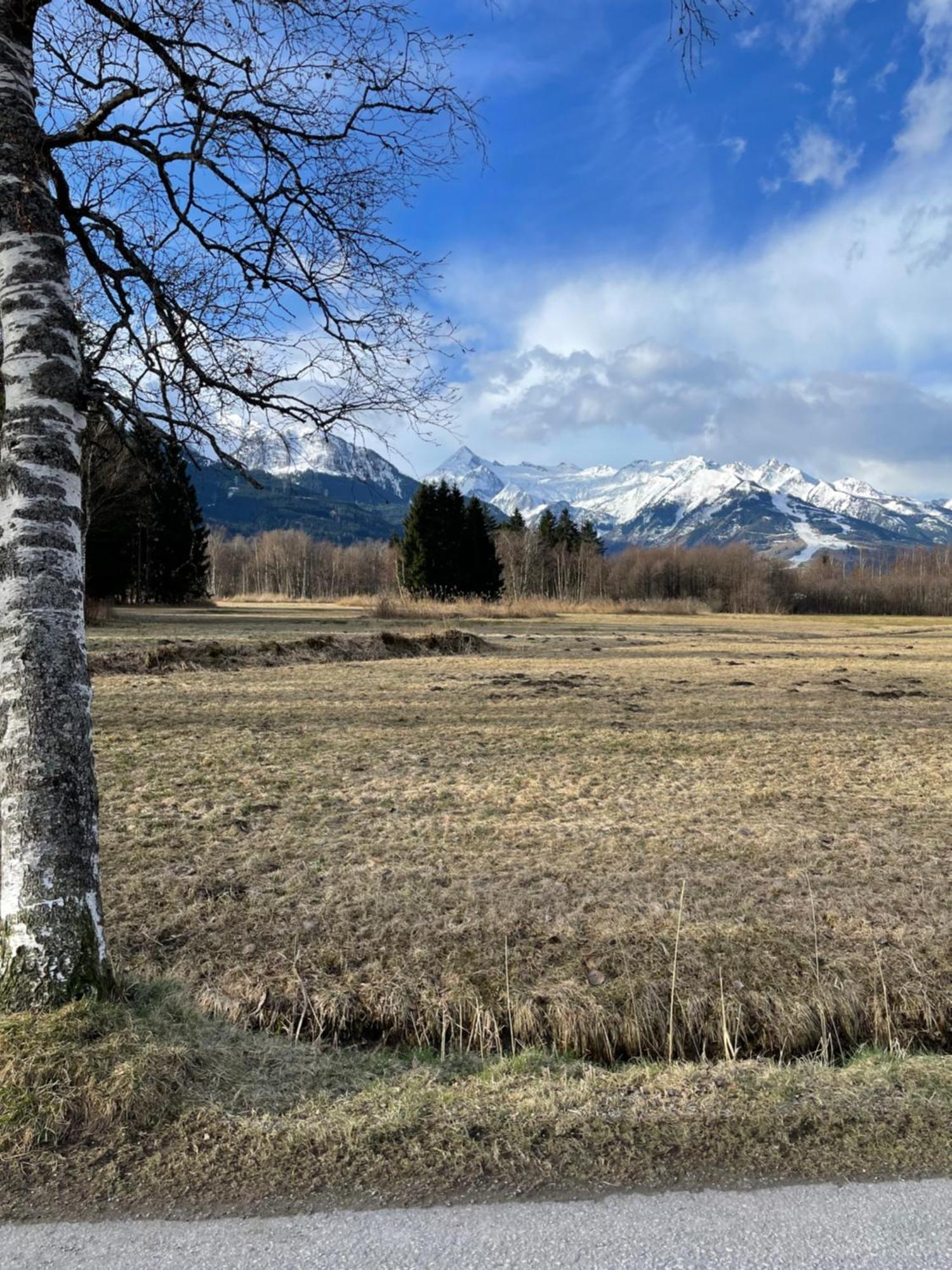 Apartment Liesl - Zell Am See Dış mekan fotoğraf